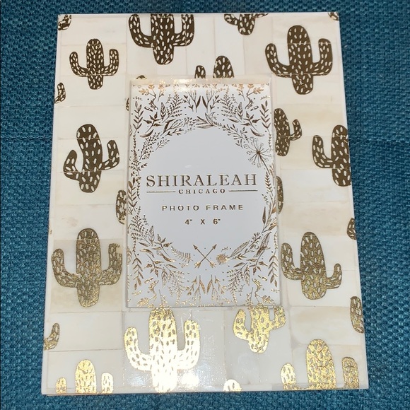 Shiraleah Chicago Frame Cactus Wanderer ! - Picture 1 of 4